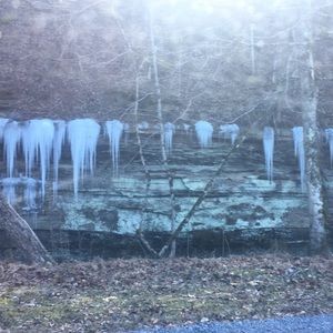 Meet your Posher, Allie